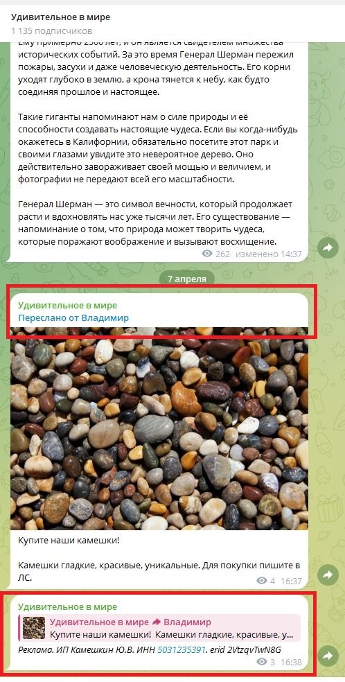 Рекламный репост в Telegram и отдельное сообщение с маркировкой, опубликованное ответом на репост
